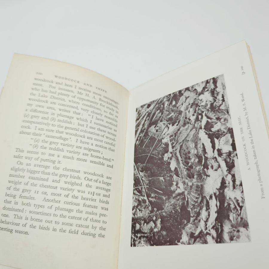 Woodcock And Snipe (Seigne , J. W. & Keith , E. C. - 1936) (ID:36462) – image 2