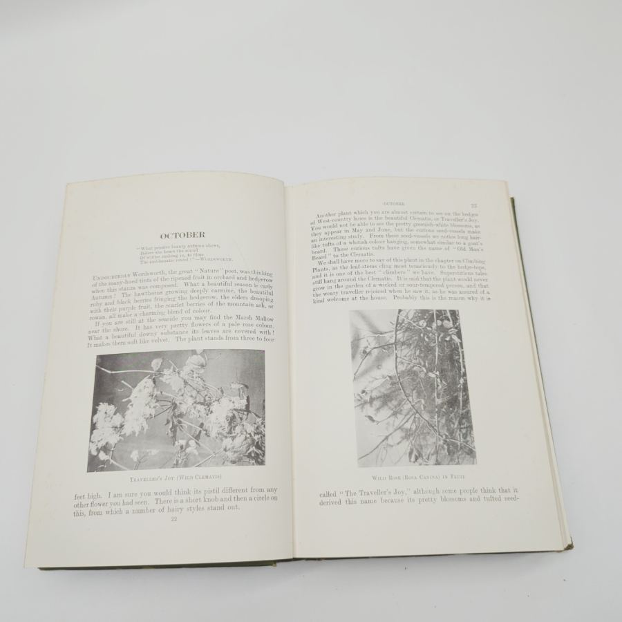 Round The Year With Nature by William J. Claxton, 1911, Routledge & Sons LTD, HB – image 2
